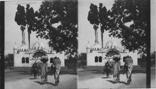 The Fountain, Tohib of Abro Nabcot, near Jappa, Palestine