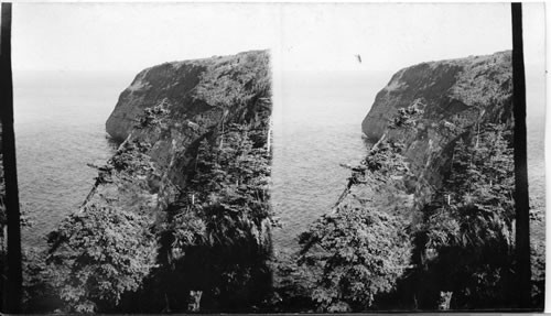 Perce Bay - Perce. Canada. Quebec