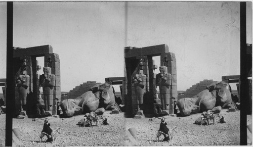 Colossus of Ramses II, Temple of Luxor, Thebes, Egypt