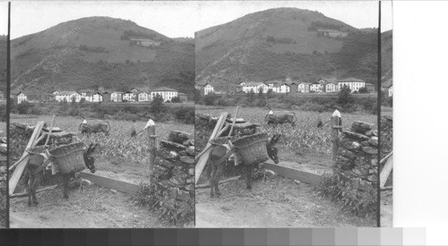 In the Basque borderland Oyeragua - New Iirum - Northern Spain