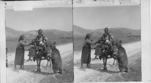 Country circus troupe with dancing bear from the Balkans, on a Turkish Road. Turkey