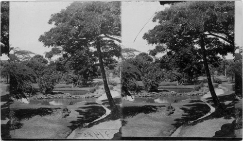 Maonalua Brook, Honolulu, Hawaii