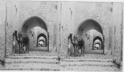 In Palestine. Arched Street of Jerusalem. ? — Calisphere