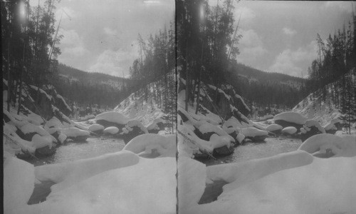 Snow Scene at the Gibbon River, Yellowstone National Park