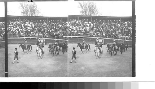 The favorite sport in Mexico - Bullfight and crowed of spectators on a public holiday. Mexico