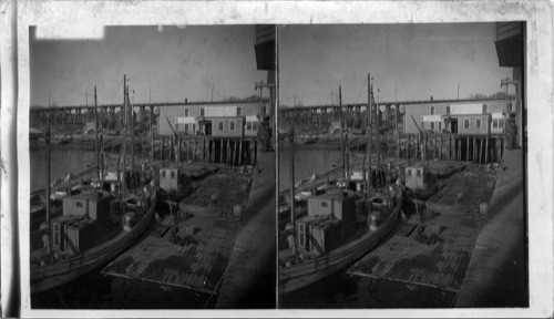 Lobster Fleet in the Harbor, Rockland, Maine