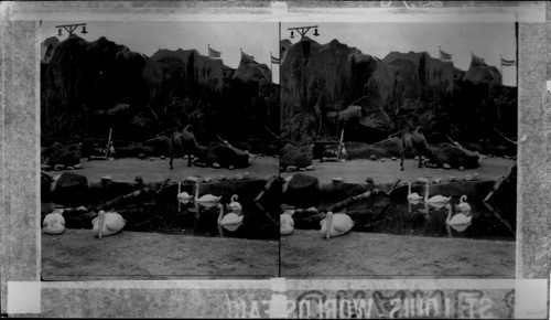 A Bit of Hagenbeck's animal Show on the Pike. World's Fair, St. Louis, Mo