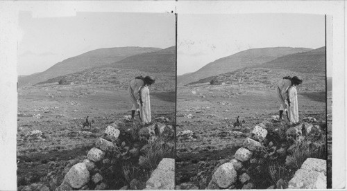 Shiloh, scene of old religious assemblies, from the southwest. Palestine