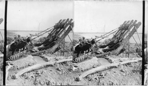 Irrigation on the Euphrates, Mesopotamia