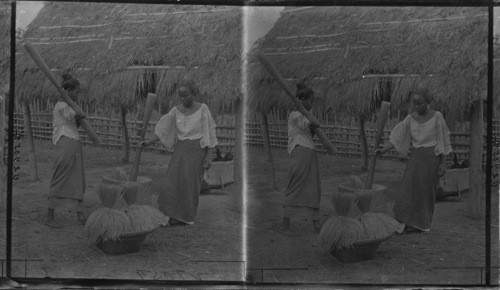 Hulling Rice, Philippines — Calisphere