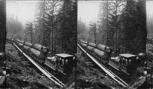 A train of logs,Washington
