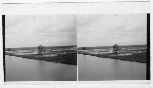 Rice fields showing the contour formation of the "paddies" which planting makes for better irrigation and donsequently [consequently] better crops, near Lake Charles, La