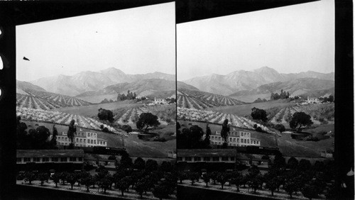 California Exhibit, Century of Progress, 1933. [Painting of California Hills with groves of trees and agriculture.]