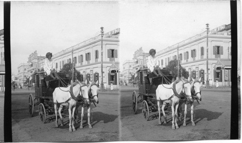 A Dawk Gharry (post cart) on Chowringhee Road. Calcutta. India