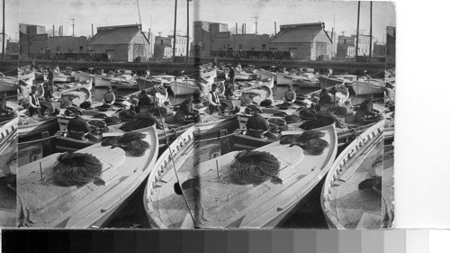 Fisherman Wharf San Francisco. Negative found broken. (C) June 14, 1926