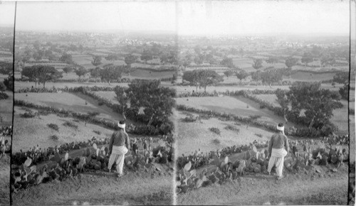 Goza, lowland stronghold of the Philistines from the southeast, Palestine