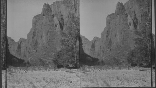 Temple of Sinewara. Zion National Park. Utah