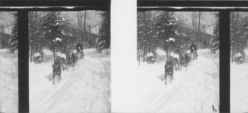 Mushing - 2,000 Feet above Sea Level in the Adirondacks near Lake Placid, N.Y