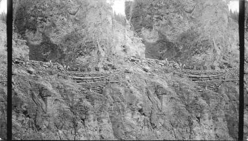 Trailing timbers up to the Tomboy Mine (S.), near Telluride, Colorado