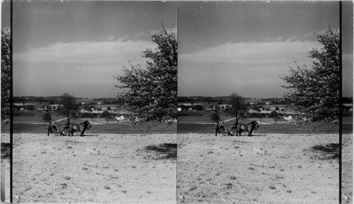 An Ohio Farm Scene