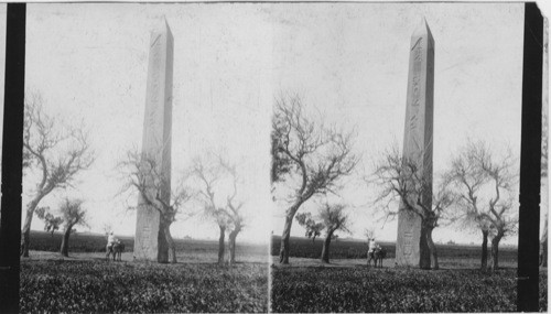 Heliopolis Obelisk, Egypt