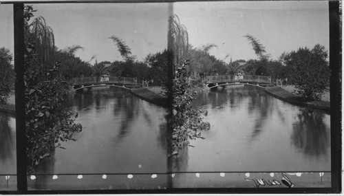 Gardens, Cairo, Egypt