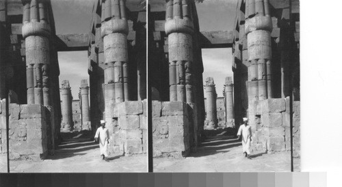 The clustered papyrus - columns with bud - Capitals of the Court of Amenophis III. Looking northeast to the processional way of the colonnade with the great columns with calyx capitals. Temple of Luxor, Luxor, Egypt