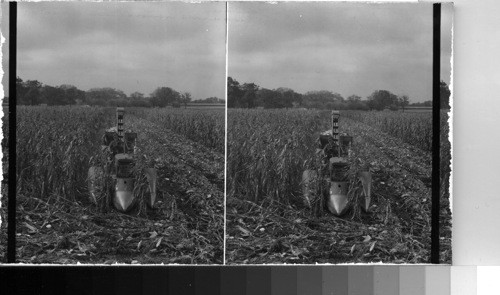 Corn Husking Machine in Field in Illinois