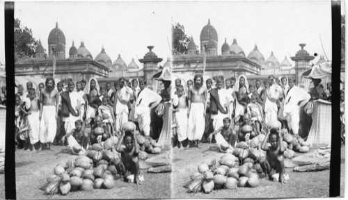 Coconut sellers at a Mala (Fair) at Tallyguange - near Calcutta. India