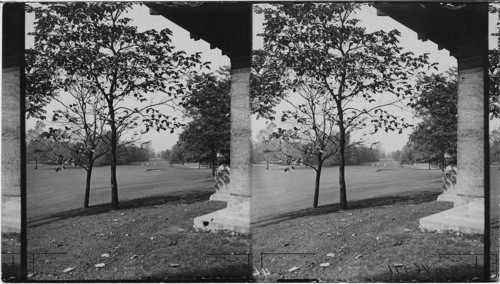 Public Golf Course, Jackson Park, Chicago, Ill