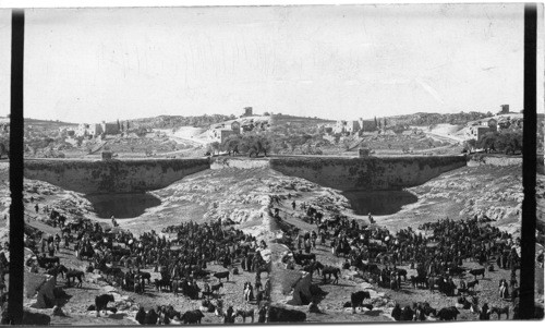 Mount Tabor, Palestine, Scene of Barake Caeup