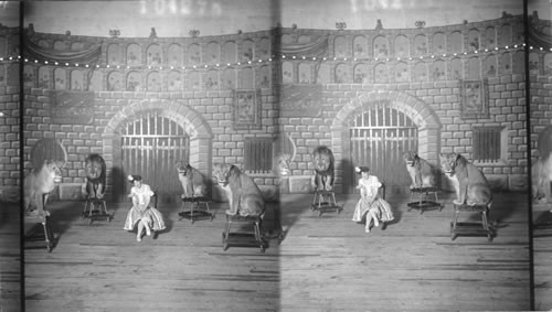 Ferrar's Wild and Trained Animals. Jamestown Exposition. Virginia