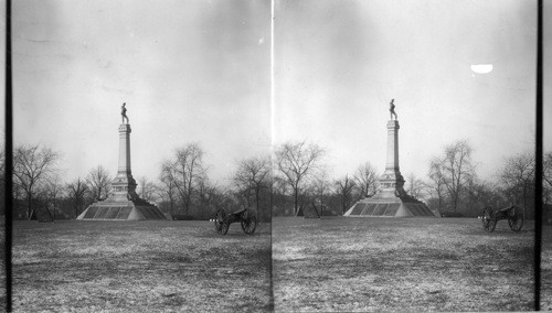 Monument To Confederate Dead Of Civil War At Oakwood Cemetery, Chicago, Ill