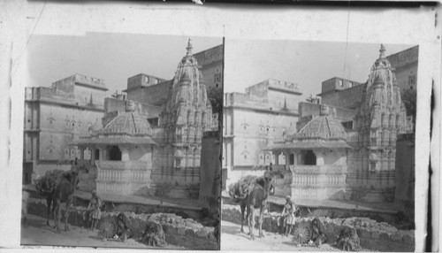 Hindu Temple and cotton spinners near Amber. India