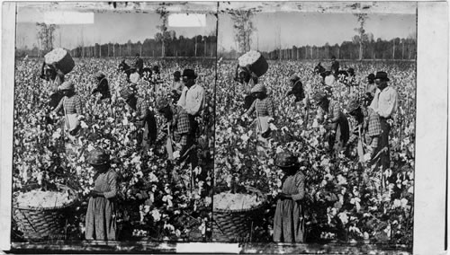 Plantation scene in Georgia