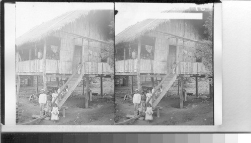 Native home made of bamboo boards - no race suicide here. Ecuador