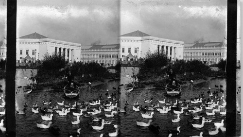 The disappointed ducks, World's Fair, Chicago