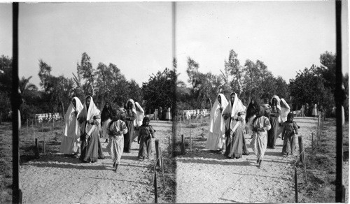 Arab Ladies, Jaffa, Palestine