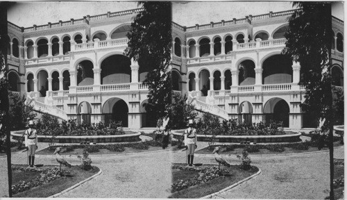 The White Palace Khartum, Egypt. Whale head or shoe bill stork. The chief public bldg. in Khartum is the Sirdar’s Pal. built by Ki Tcheuer on the site of Gordon’s murder. Egyptian Sudan