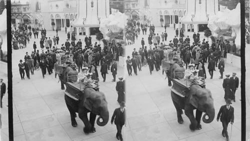 A parade, Luna Park, Coney Island. Rodney the Elephant - N.Y