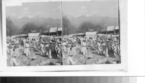 Market Scene. Mexico