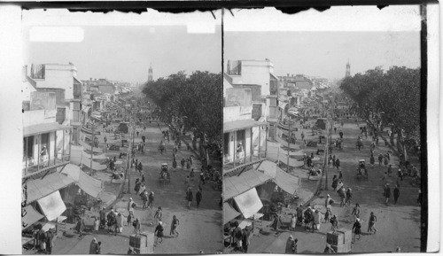 India. Principal Street of Delhi