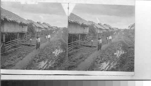 Bamboo dwellings of working men on a plantation in Ecuador