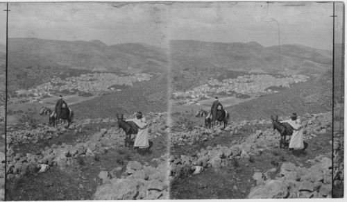 Shechem, an early center of Hebrew history - looking southwest from Mt. Ebal. Palestine