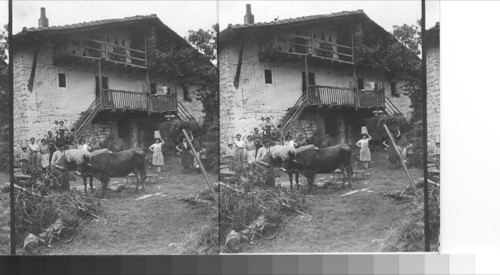 A home of Basque peasants. Lemona, Spain