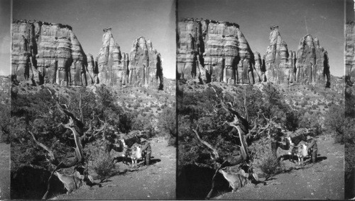 A little west of north in Monument Canyon looking to "Court Group", Colo