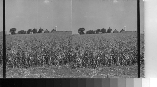 A farm in the Corn Belt - Illinois