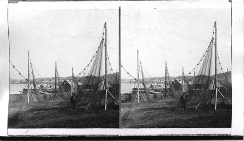 Fish Nets and Twillingate Harbor, Province of Newfoundland. Twillingate is at N. point of Newfoundland on Island at entrance of Norte Dame Bay. Fine Harbor Facilities