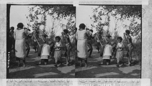 Nigrito natives Planting Rice by their Primitive methods, Philippine Village. St. Louis World's Fair