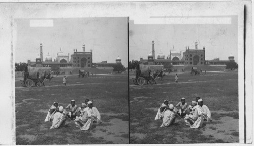 Curiously rigged camel-wagons, E. of largest Mohemmedan Mosque in the world. Delhi. India